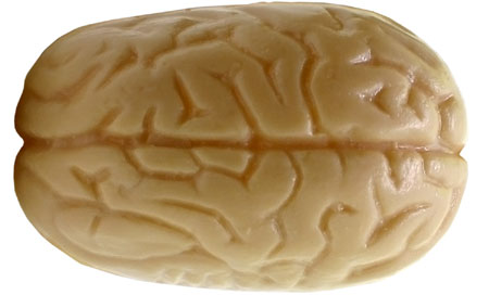 продажби мозък мисъл