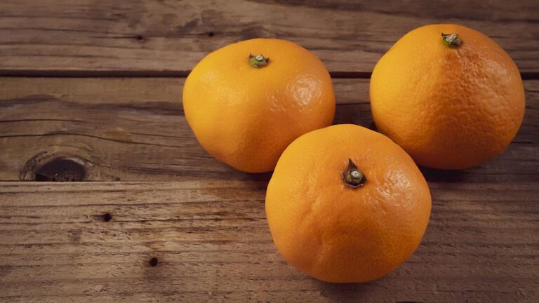 Трите ключови черти на личността при подбор на персонал на Бъфет