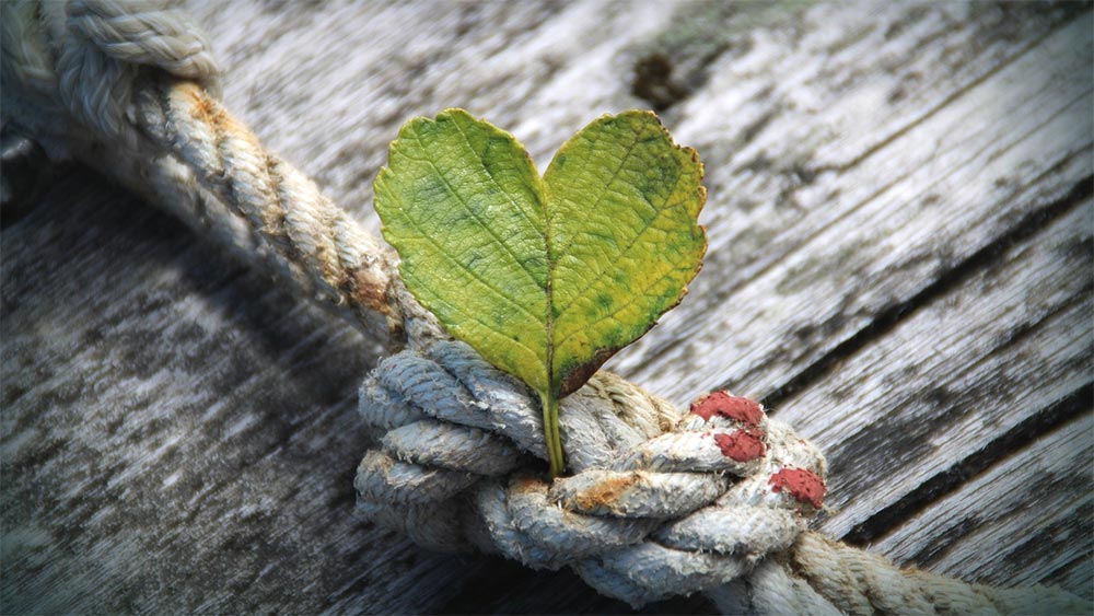 Благодарност и признателност. Как да осъзнаваме доброто, което ни се случва Благодарност и признателност. Как да осъзнаваме доброто, което ни се случва