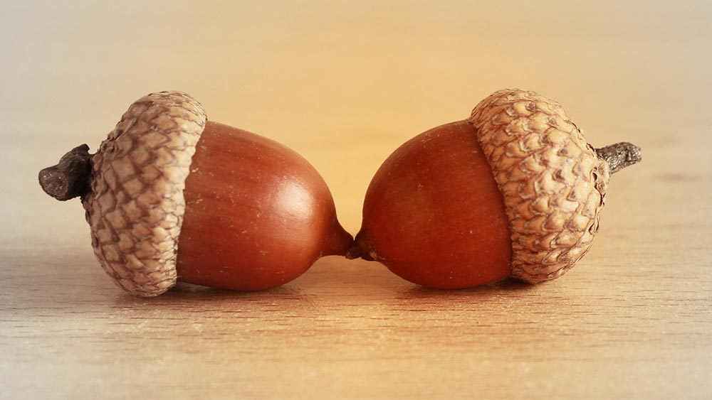 Да работиш във фирма е все едно да имаш връзка Да работиш във фирма е все едно да имаш връзка