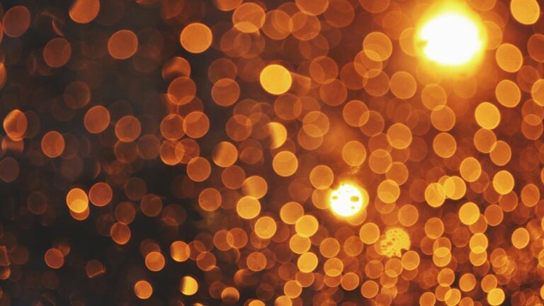 Холакрация. Философия за работа на организациите с цел