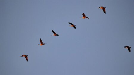 Как да се придвижим от 7 към 10 и да поемем по нов път на развитие