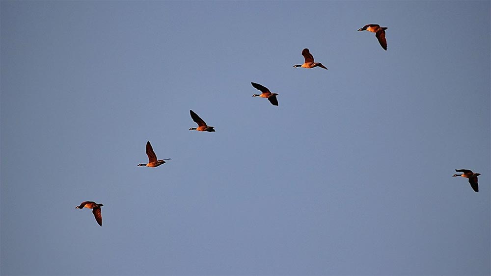 Как да се придвижим от 7 към 10 и да поемем по нов път на развитие Как да се придвижим от 7 към 10 и да поемем по нов път на развитие