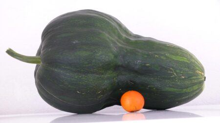 Как да започнем да мислим на едро