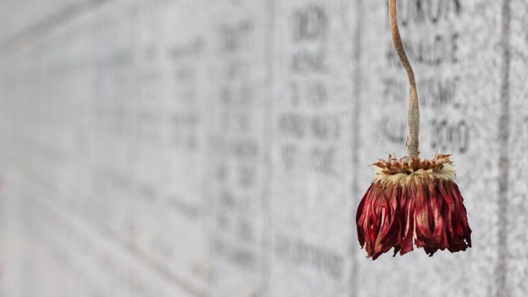 Какво убива иновациите?