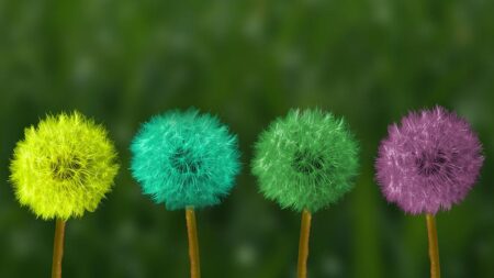 Крива на промяната