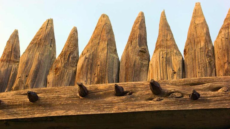 Маркетингова стратегия за флангова защита