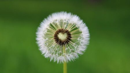 Модел ADKAR за управление на промяната