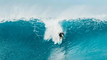 Модел на поведение на Фог