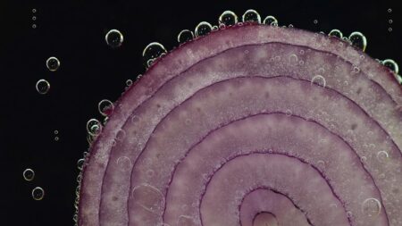 Модел PIN за справяне с конфликти