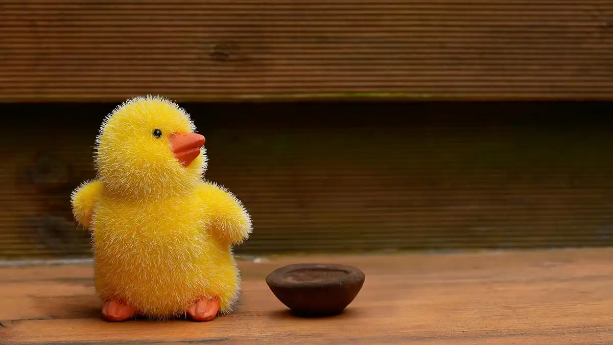 Модел за личен чар на Едуардс