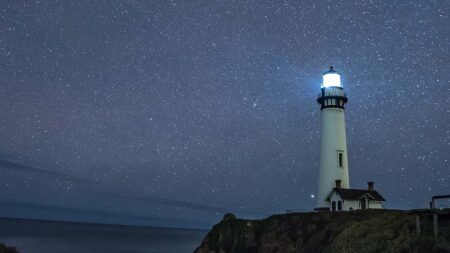 Модел за лидерство на Уелч