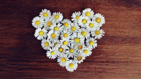 Модел с нови 4P за маркетинг микс на Янч