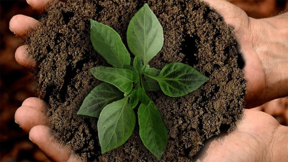 Модел за организационен растеж на Грейнър