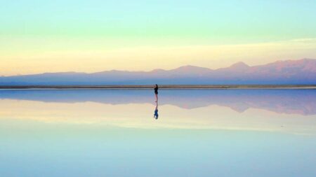 Модел за рефлексия на Бортън
