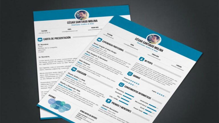Перфектната автобиография (CV)