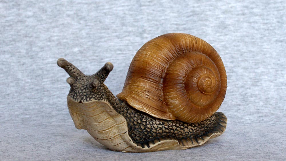 Как да се подбират нови служители, за да се насърчат творчеството и иновациите Как да се подбират нови служители, за да се насърчат творчеството и иновациите