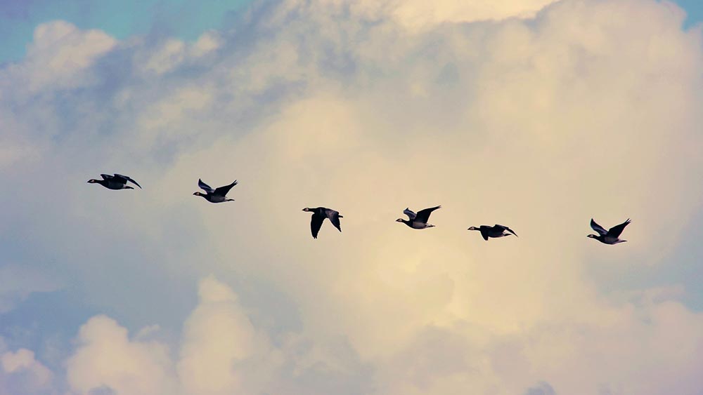 Размисли за лидерството и неговото подпомагане Размисли за лидерството и неговото подпомагане