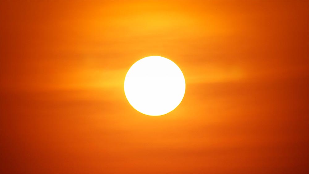 Смелостта да живеем съзнателно Смелостта да живеем съзнателно