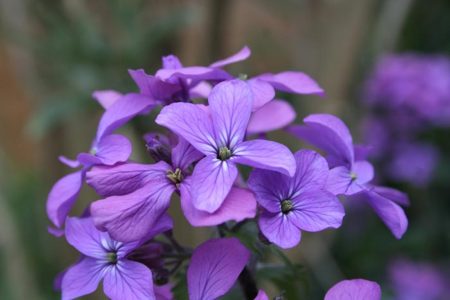 Спри да премълчаваш, бъди честен в работата!