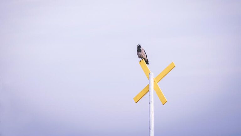 Стратегически диамант на Хамбрик и Фредриксън