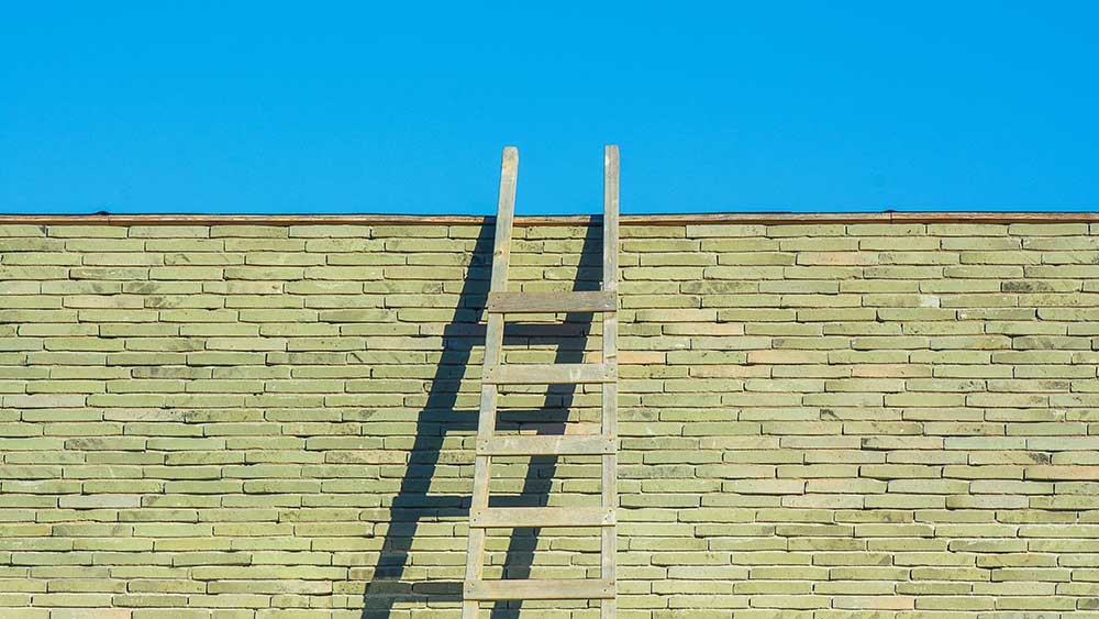 Стълба на лидерското делегиране