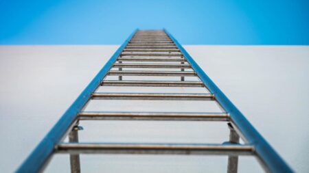 Стълбица на умозаключенията на Аргирис