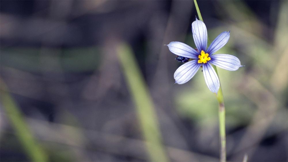 Състрадание и прошка. Как да чуваме истински другите