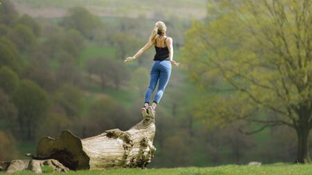 Теория за мотивацията на Хенди