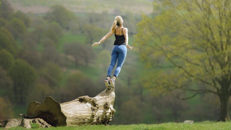 Теория за мотивацията на Хенди