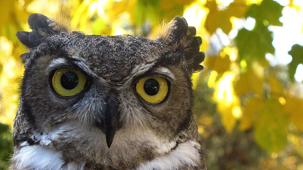 Топ 20 неща, които знаеш сега и които би ти се искало да знаеш на 20 Топ 20 неща, които знаеш сега и които би ти се искало да знаеш на 20