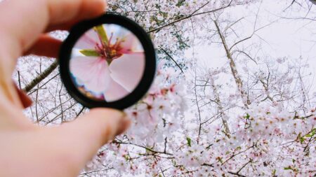 Три малки навика за по-добър фокус