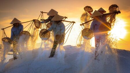 Управление на таланта
