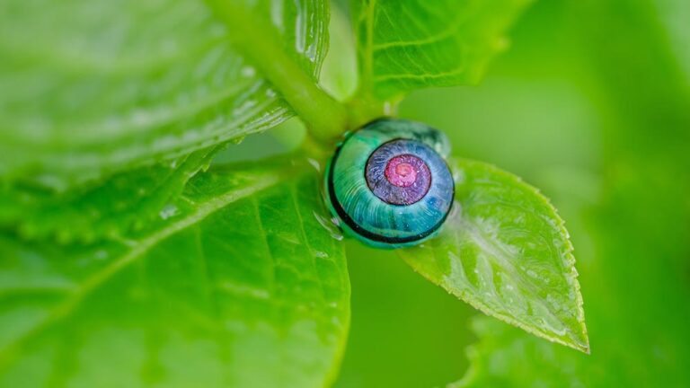 Устойчиво развитие. Концепция и области за промяна