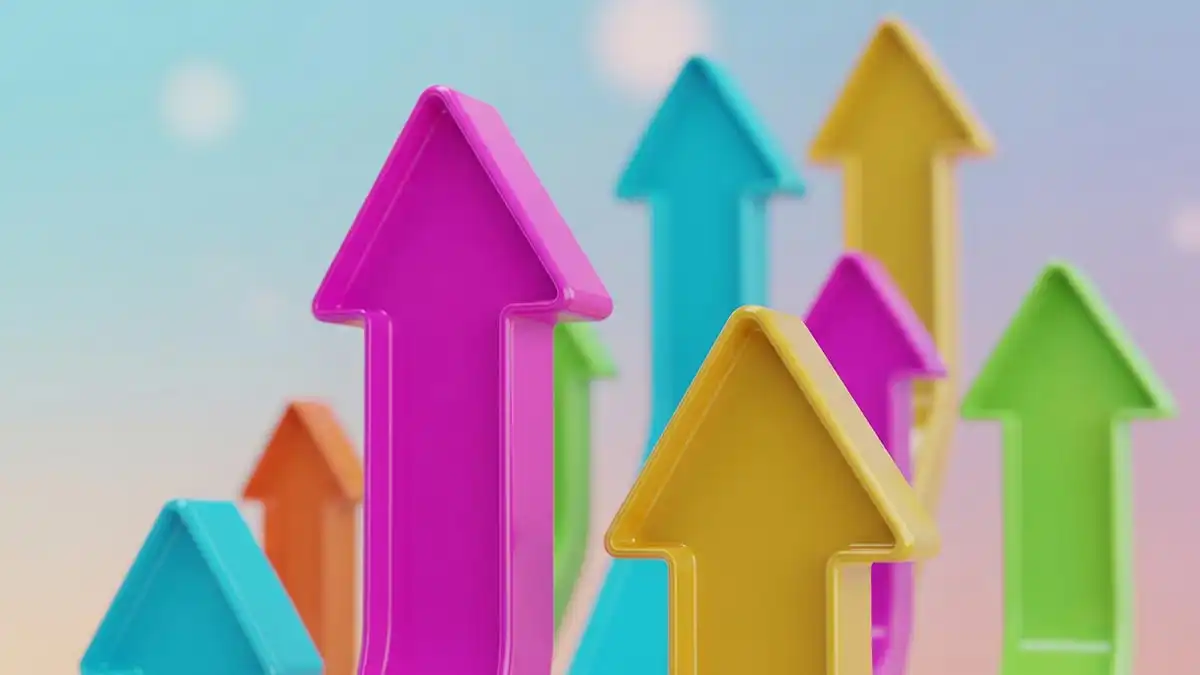 Верига на стойността на Портър